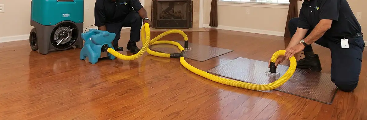 emergency water removal technicians extracting standing water from a home using professional equipment in Bloomington, IN